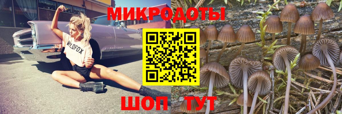 Псилоцибиновые грибы мухоморы  Галлюциногенные грибы Psilocybe  Вход с VPN  купить наркотик  Черемхово 